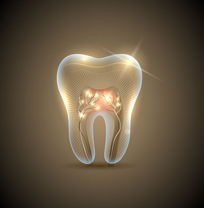 Root Canal Therapy | Lynnwood Dental | General & Family Dentist | SE Calgary